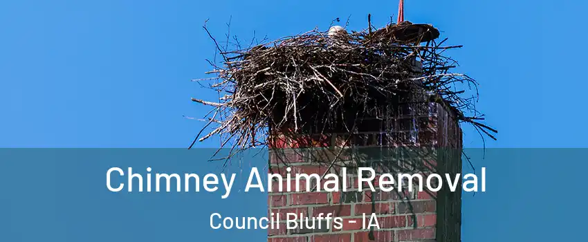 Chimney Animal Removal Council Bluffs - IA