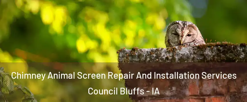  Chimney Animal Screen Repair And Installation Services Council Bluffs - IA