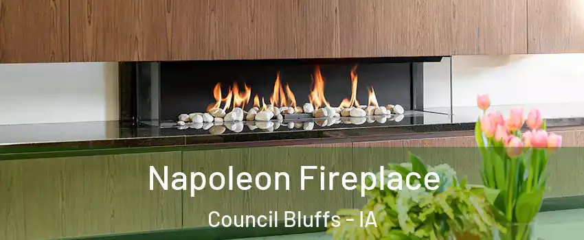  Napoleon Fireplace Council Bluffs - IA